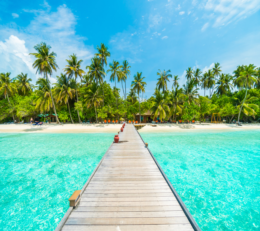 Playas mexicanas Beautiful tropical Maldives island with beach , sea , and coconut palm tree on blue sky for nature holiday vacation background concept -Boost up color Processing